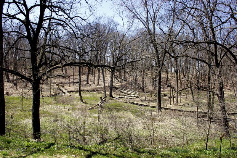 Reed-turner Woodland Nature Center History