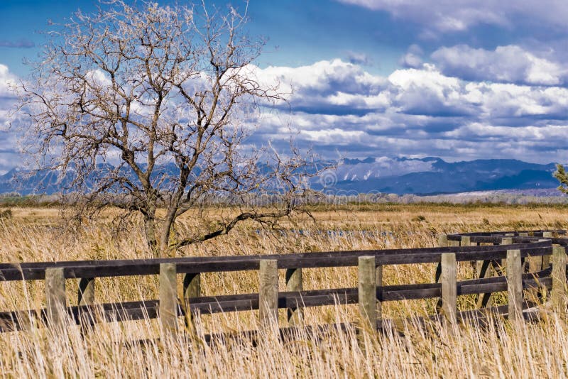 Reeds and wooden bridge with mountains and clouds in the background - somewhere in the North-East - Italy 2007. Boardwalk rail stock images, royalty-free photos and pictures