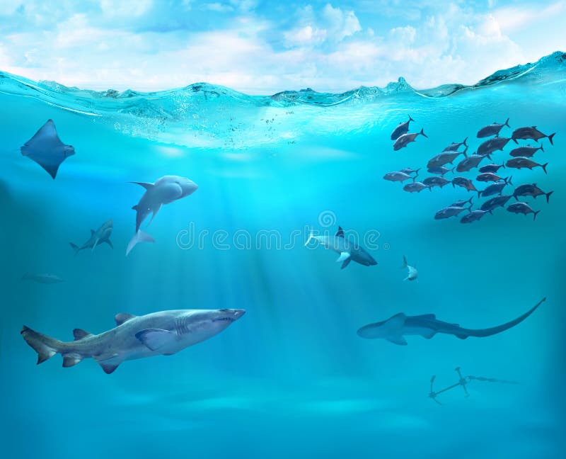 Reef with marine animals. vector illustration Reef with marine animals. vector illustration