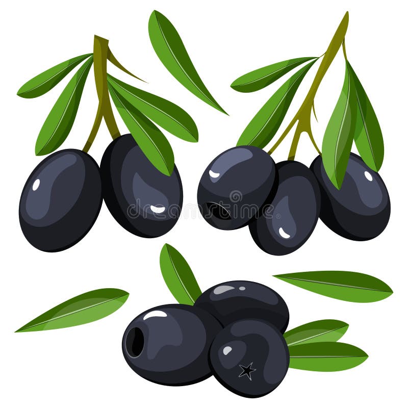 Reeks achtergronden met groene en zwarte olijven Vector illustratie stock illustratie Reeks achtergronden met groene en zwarte olijven Vector illustratie stock illustratie