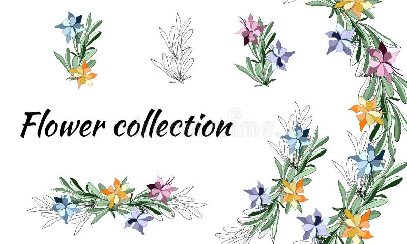 Reeks bloemen van multicolored en contourlente Vector bloemenborstels Voor decoratie, document, kaarten, groeten Vector vector illustratie Reeks bloemen van multicolored en contourlente Vector bloemenborstels Voor decoratie, document, kaarten, groeten Vector vector illustratie