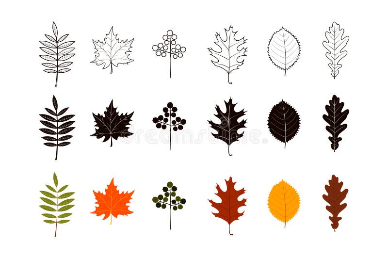 Reeks de herfstbladeren in kleur, silhouetten en het ontwerp van de lijnkunst stock illustratie Reeks de herfstbladeren in kleur, silhouetten en het ontwerp van de lijnkunst stock illustratie