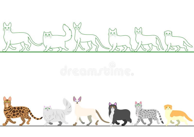 Een set verschillende katten die in een rij lopen stock illustratie
