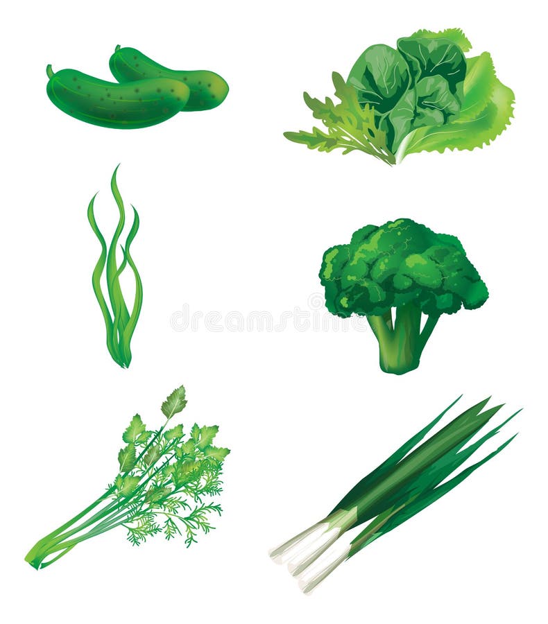 Reeks groene groenten vector illustratie Reeks groene groenten vector illustratie