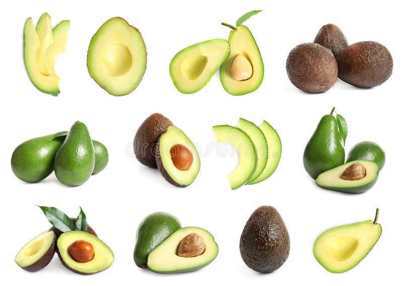 Reeks met gehele en gesneden avocado's royalty-vrije illustratie Reeks met gehele en gesneden avocado's royalty-vrije illustratie