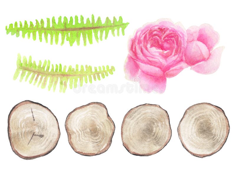 Reeks natuurlijke rustieke die elementen op wit worden geïsoleerd royalty-vrije illustratie Reeks natuurlijke rustieke die elementen op wit worden geïsoleerd royalty-vrije illustratie