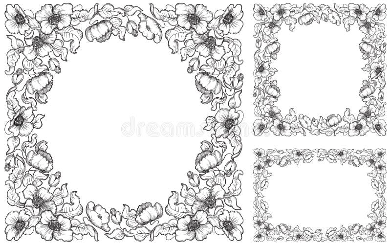 Vector floral backgrounds with poppy flowers and leaves at retro engraving style. Vector floral backgrounds with poppy flowers and leaves at retro engraving style.