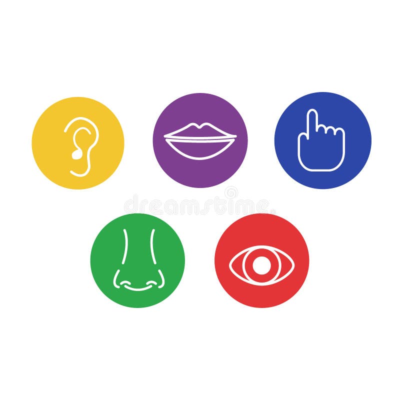 Reeks pictogrammen van de vijf menselijke betekenissen: gezicht, geur, hoorzitting, aanraking, smaak vector illustratie Reeks pictogrammen van de vijf menselijke betekenissen: gezicht, geur, hoorzitting, aanraking, smaak vector illustratie