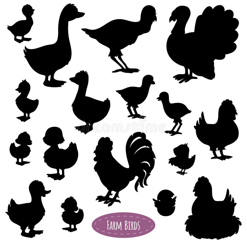 Reeks silhouetten van vogels op het landbouwbedrijf royalty-vrije illustratie Reeks silhouetten van vogels op het landbouwbedrijf royalty-vrije illustratie