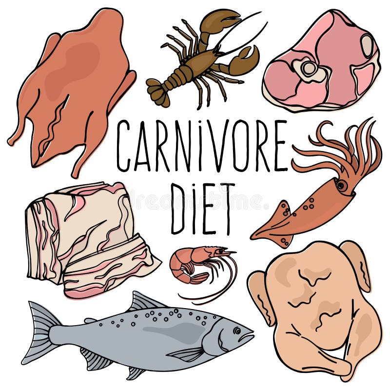 Reeks van de het Voedsel Vectorillustratie van het CARNIVOORdieet de Organische Gezonde royalty-vrije illustratie Reeks van de het Voedsel Vectorillustratie van het CARNIVOORdieet de Organische Gezonde royalty-vrije illustratie