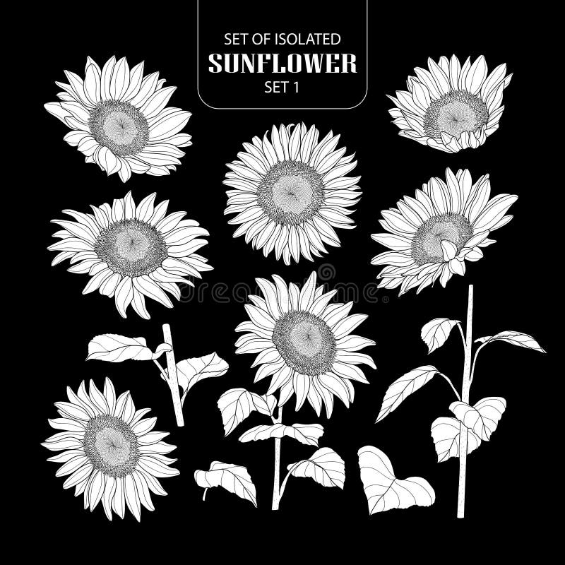 Reeks van geïsoleerde witte reeks 1 van de silhouetzonnebloem stock illustratie Reeks van geïsoleerde witte reeks 1 van de silhouetzonnebloem stock illustratie