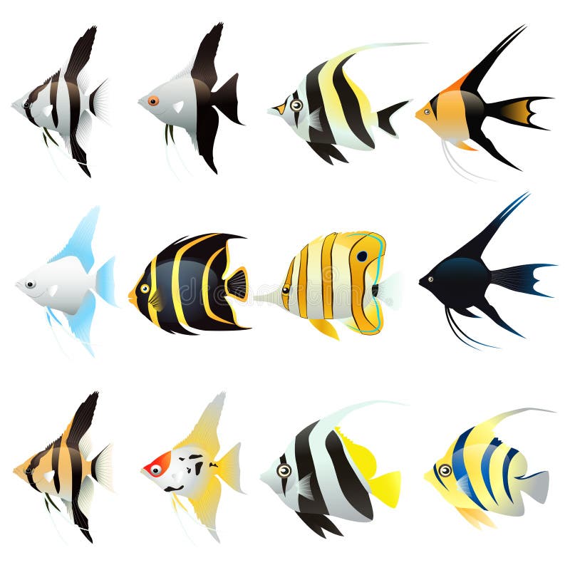 Reeks van het Beeldverhaal van engelenvissen vector illustratie Reeks van het Beeldverhaal van engelenvissen vector illustratie