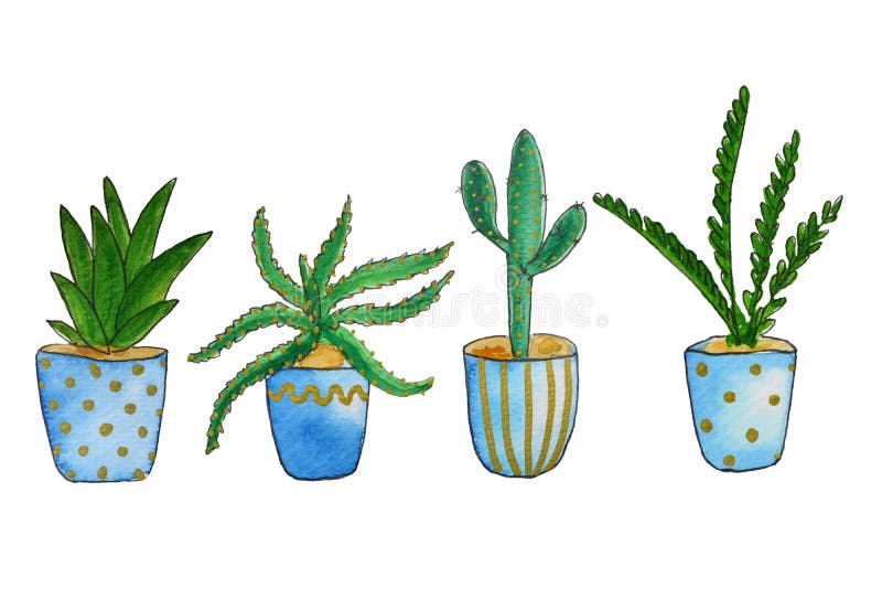 Reeks van van huis groene installaties en cactussen waterverfillustratie Verschillende types van diverse soorten huiscactus, palm vector illustratie Reeks van van huis groene installaties en cactussen waterverfillustratie Verschillende types van diverse soorten huiscactus, palm vector illustratie