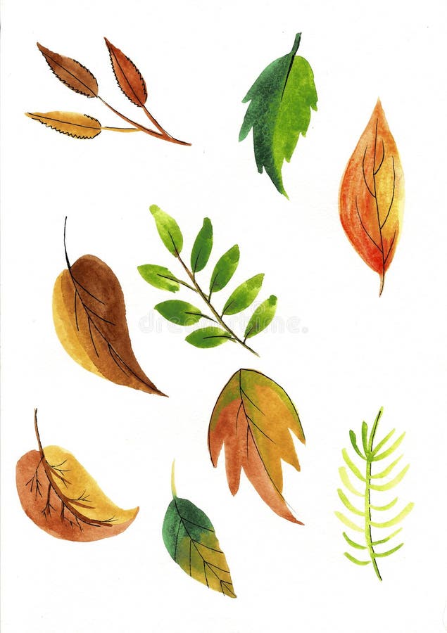 Reeks van kleurrijke de Waterverfillustratie van de herfstbladeren vector illustratie Reeks van kleurrijke de Waterverfillustratie van de herfstbladeren vector illustratie