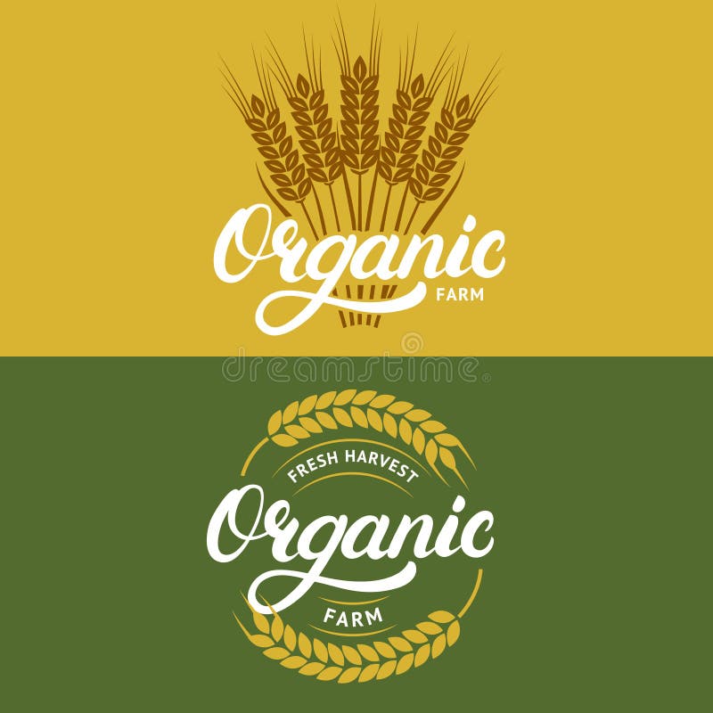 Reeks van organische landbouwbedrijfhand geschreven van letters voorziende emblemen, etiketten, kentekens of emblemen voor natuur vector illustratie Reeks van organische landbouwbedrijfhand geschreven van letters voorziende emblemen, etiketten, kentekens of emblemen voor natuur vector illustratie