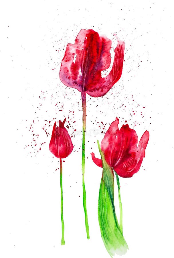 Reeks van rode Tulpen onder abstracte dalingen Waterverfillustratie op witte achtergrond wordt ge?soleerd die stock afbeeldingen Reeks van rode Tulpen onder abstracte dalingen Waterverfillustratie op witte achtergrond wordt ge?soleerd die stock afbeeldingen