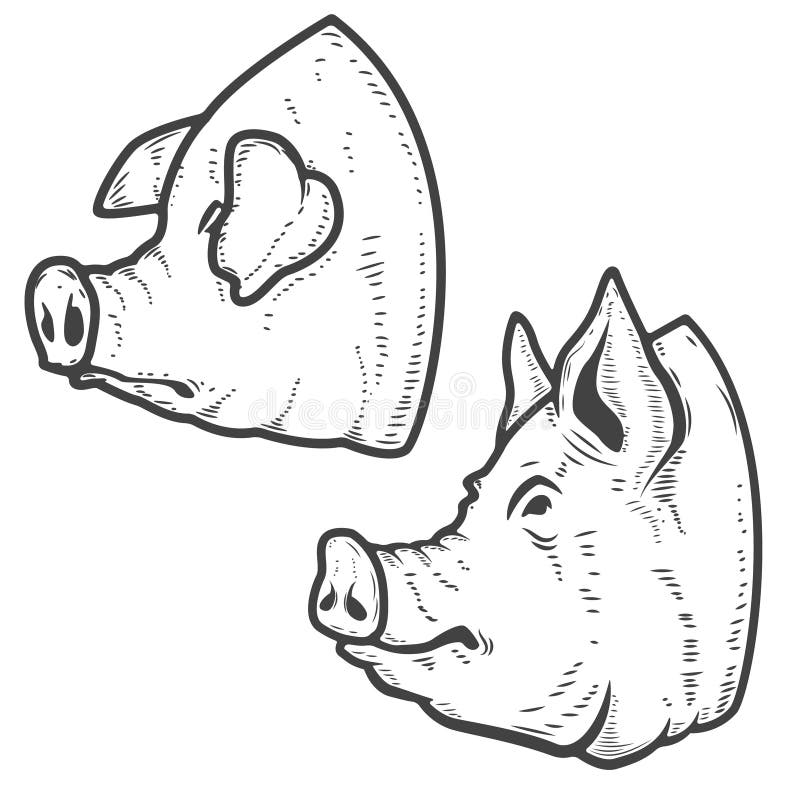 Reeks varkenshoofden op witte achtergrond wordt geïsoleerd die Het vlees van het varkensvlees Ontwerp stock illustratie Reeks varkenshoofden op witte achtergrond wordt geïsoleerd die Het vlees van het varkensvlees Ontwerp stock illustratie