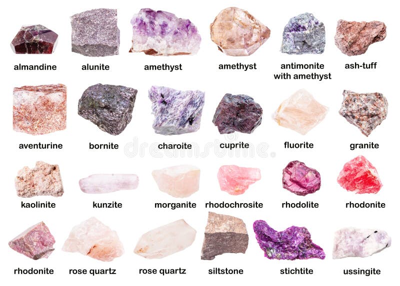 Set of various unpolished pink minerals with names rhodonite, rhodolite, rhodochrosite, almandine, etc isolated on white. Set of various unpolished pink minerals with names rhodonite, rhodolite, rhodochrosite, almandine, etc isolated on white