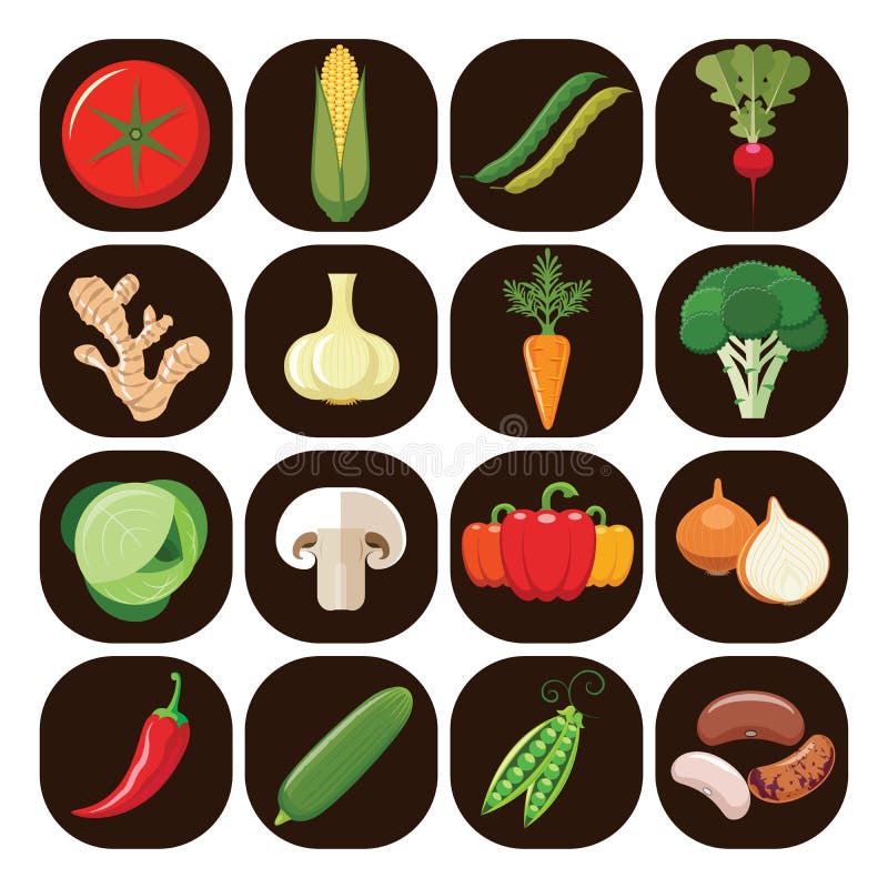 vriendelijk straal Trouw Reeks Verschillende Soorten Groenten Stock Illustratie - Illustration of  chili, graan: 64213783
