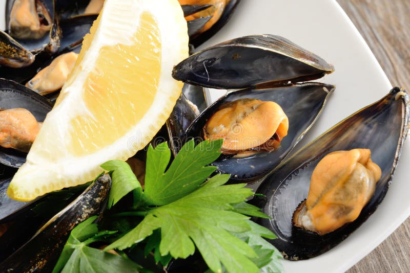 Ref mussels with lemon stock photo. Image of peppered 31673066