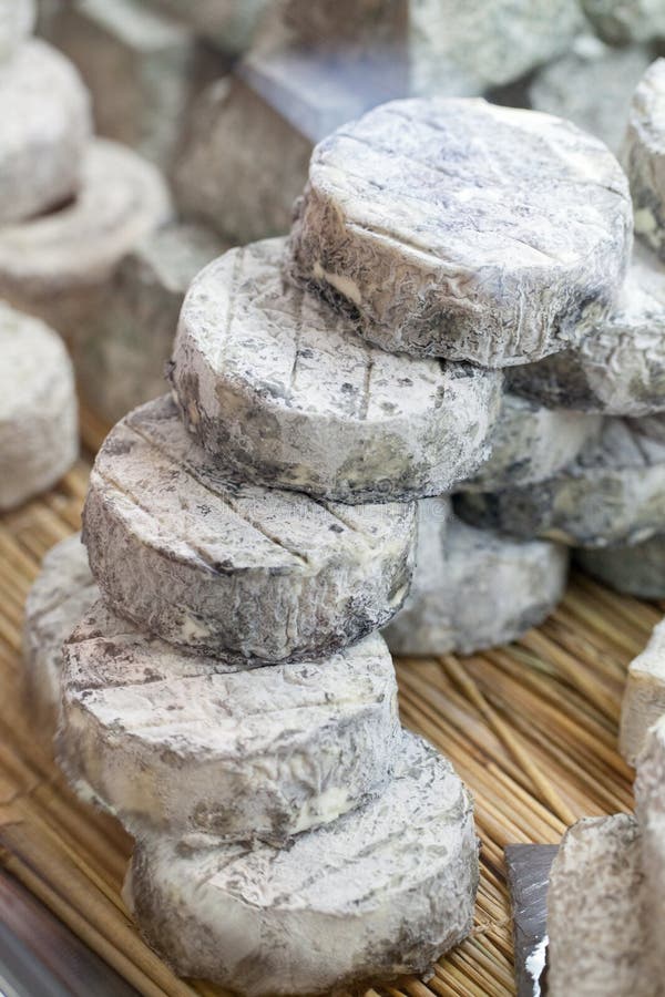 Refined French Goat Cheese at the Specialty Cheese Shop Stock Image