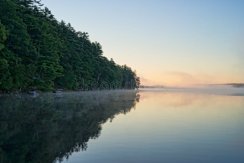 Reflected Trees and Mist at Toddy Pond, Maine Stock Photo Image of