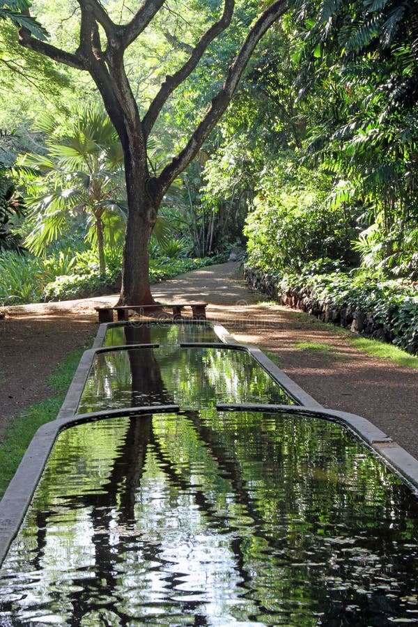 Reflected in water in Allerton National Tropical Botanical Garden, Kauai