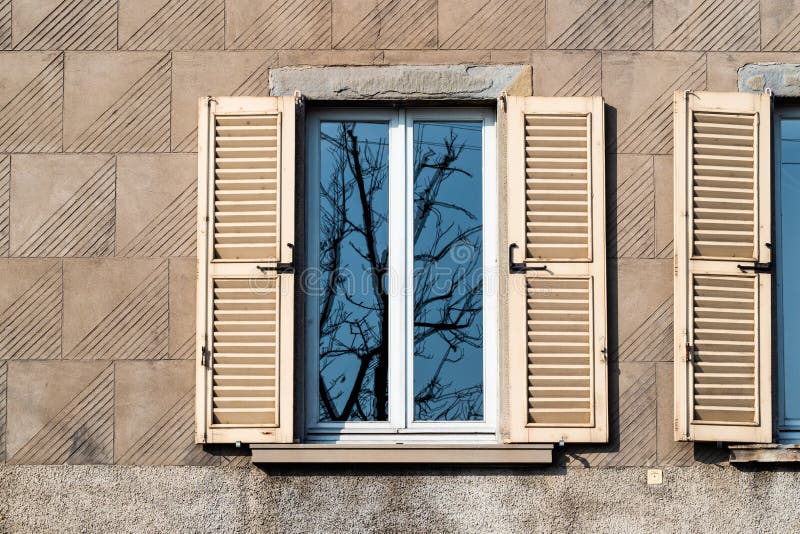 reflection of bare tree in home window in spring royalty free stock photography reflection of bare tree in home window in spring royalty free stock photography