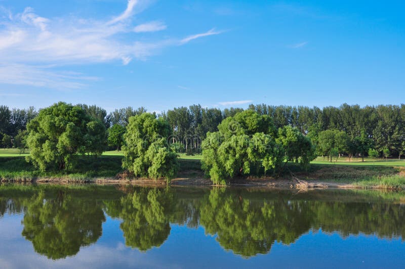 Trees and Reflection in River Water with Blue Sky Stock Photo - Image ...
