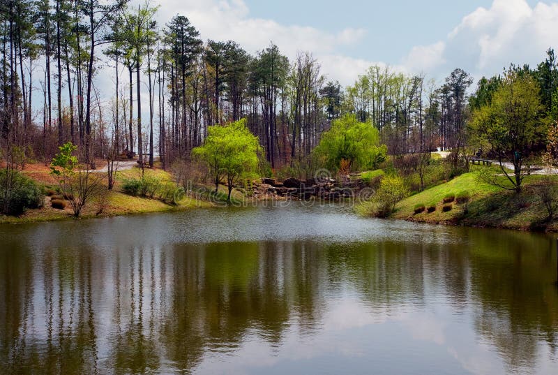 Reflection of Early Spring