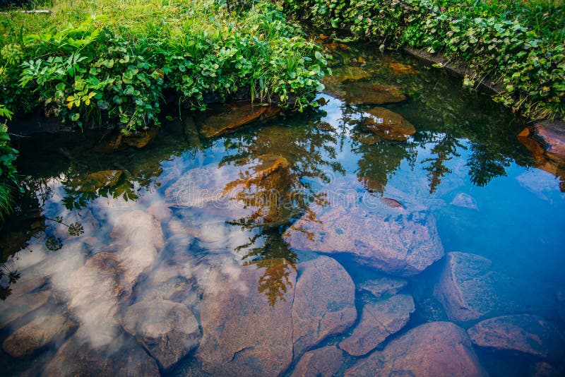 Reflection of the forest in the crystal clear water of a mountain lake