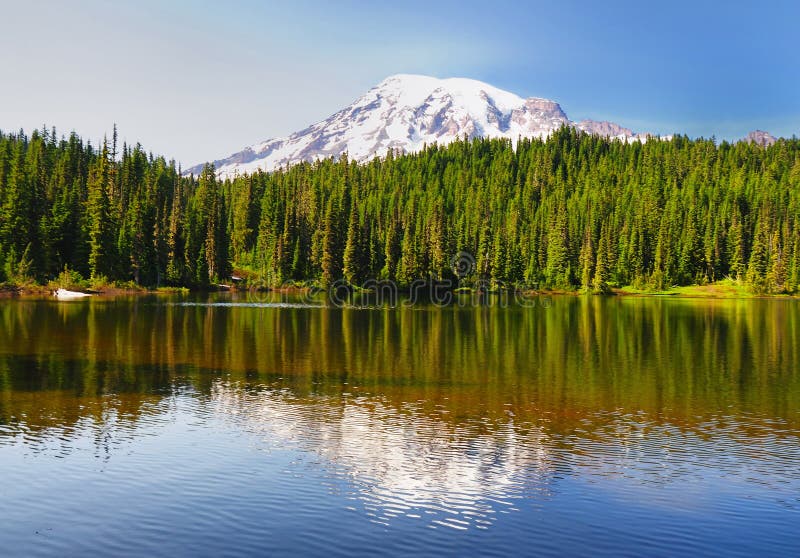 The Reflection Lake and Mt Rainier royalty free stock photos