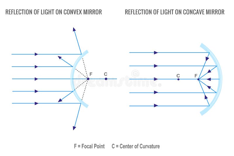 Reflection of light on concave mirror and Convex mirror