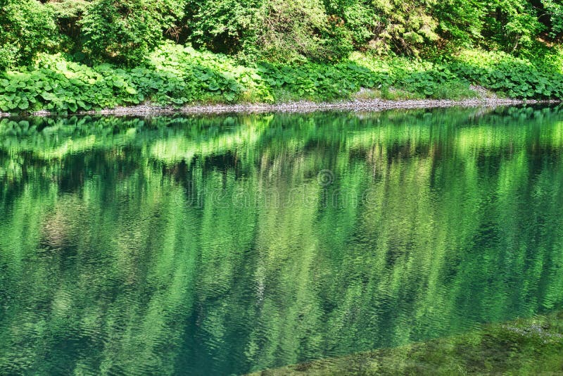 Reflection in Lubochniansky tajch lake in Lubochnianska dolina valley in Velka Fatra mountains