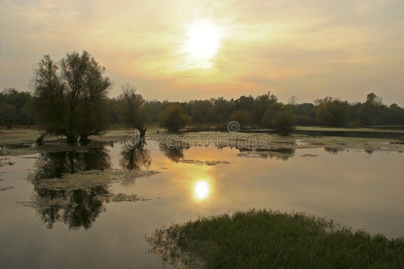 Reflection in Nature