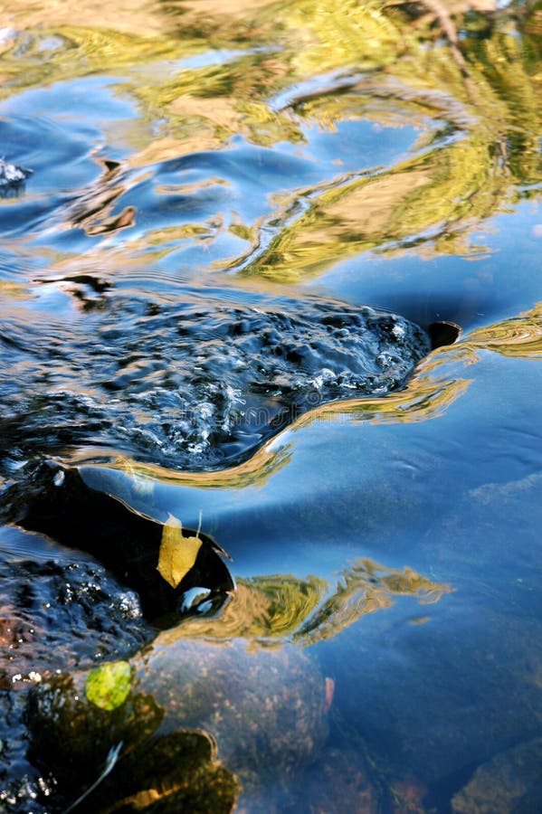 Reflection In Running Water