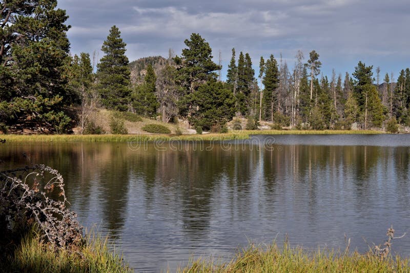 Reflection on Sprague Lake