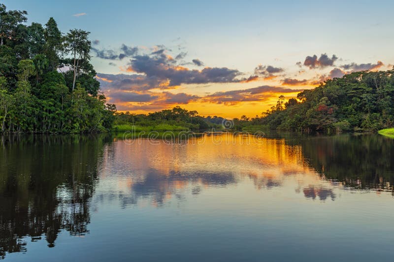Sunset Reflection in the Amazon Rainforest