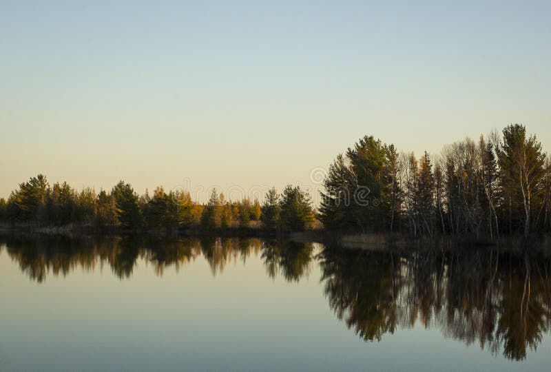 Reflection of trees up north looks like organic guitar