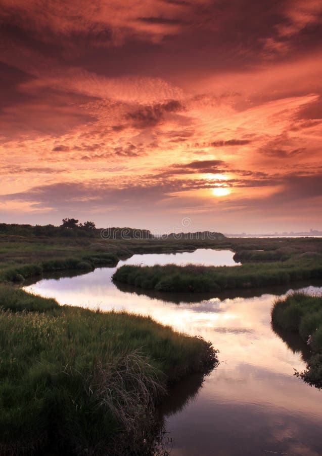 Reflections stock photo