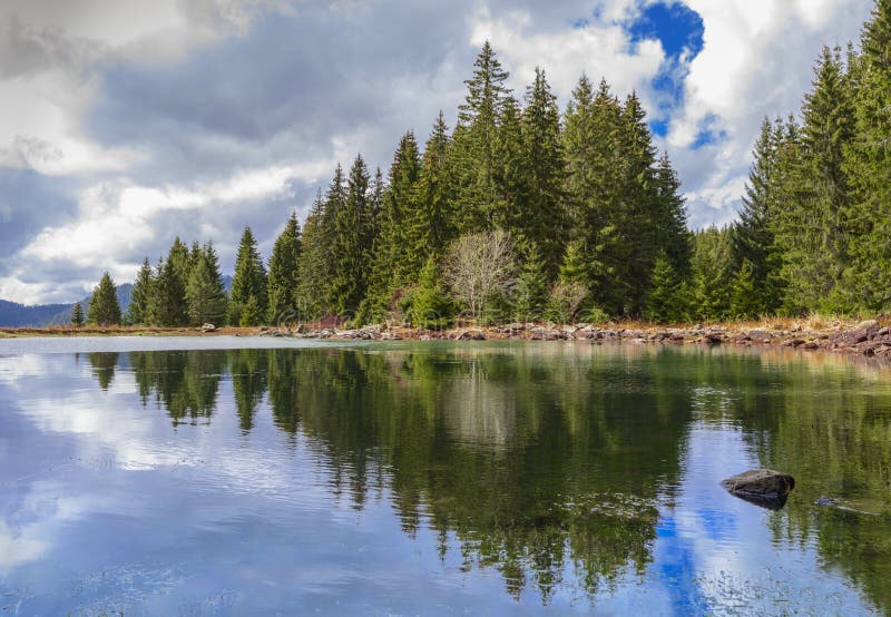 Reflections On The Coniferous Forest And Blue Sky With White Clouds In