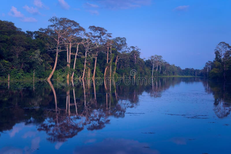 Reflections of the jungle over the broad moat of  the ancient city of Angkor Thom, in Cambodia.