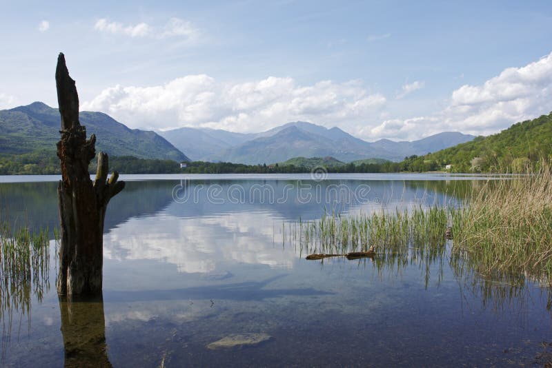 Reflections in Lagho Piccolo, Avigliana stock image