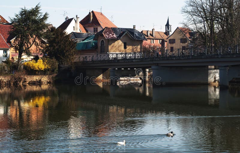 Reflections in the river