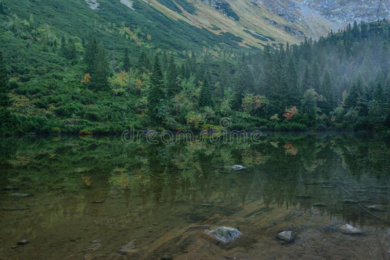 Reflections of trees in the lake water in the morning mist