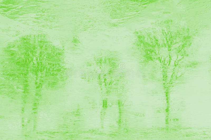 Reflections Of Trees In Water. Pale Green Pastel Toned Stock Image
