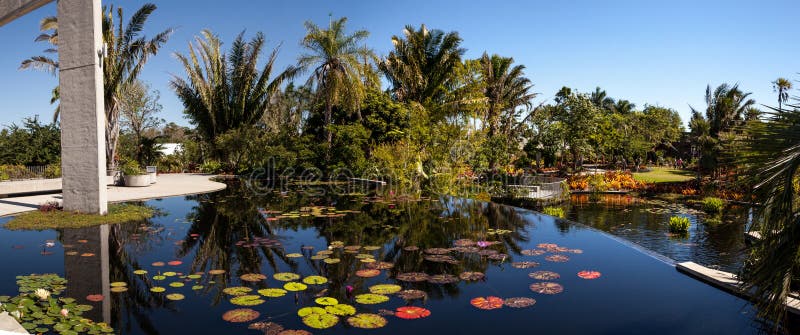 Reflective Pond With Water Lilies And Plants At The Naples