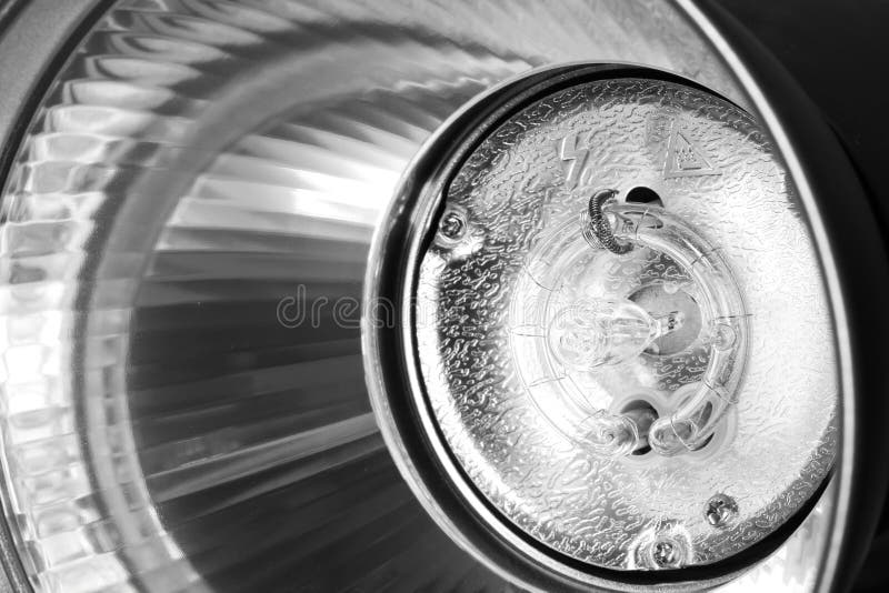 Reflector, Pilot Light Bulb and Round Flash Bulb of an Studio Flash