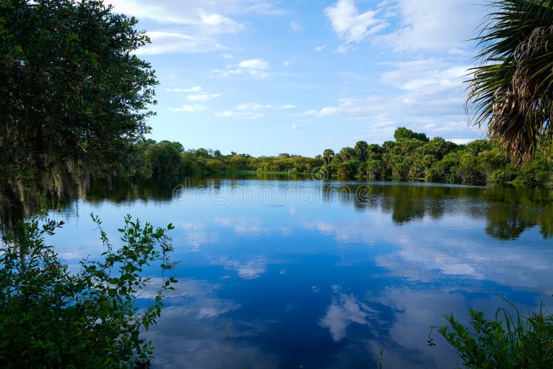 Reflejando imágenes de archivo libres de regalías