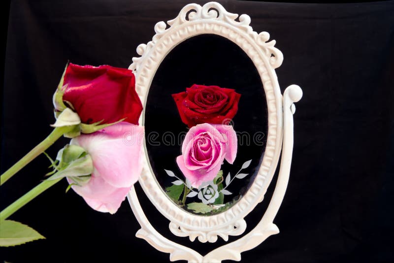 Reflection of rose in vintage mirror on black background. Vain Concept. Mirror Mirror on the wall. Reflection of rose in vintage mirror on black background. Vain Concept. Mirror Mirror on the wall